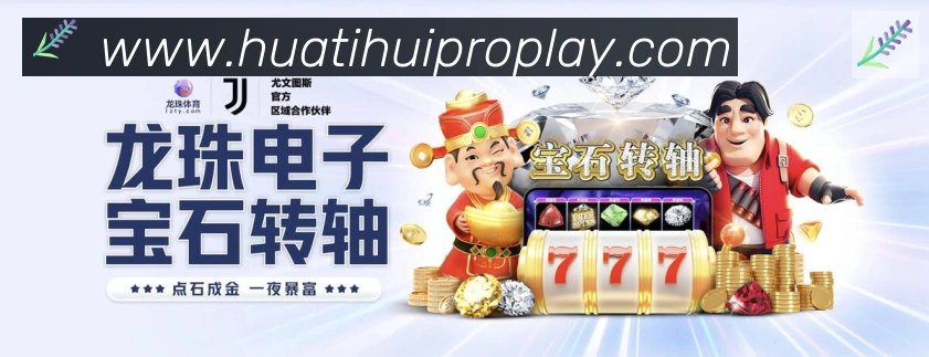 战术分析频道